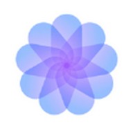 野花韩国免费视频8下载