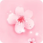 暖暖日本视频在线观看最新版