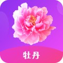 午夜播放器在线下载